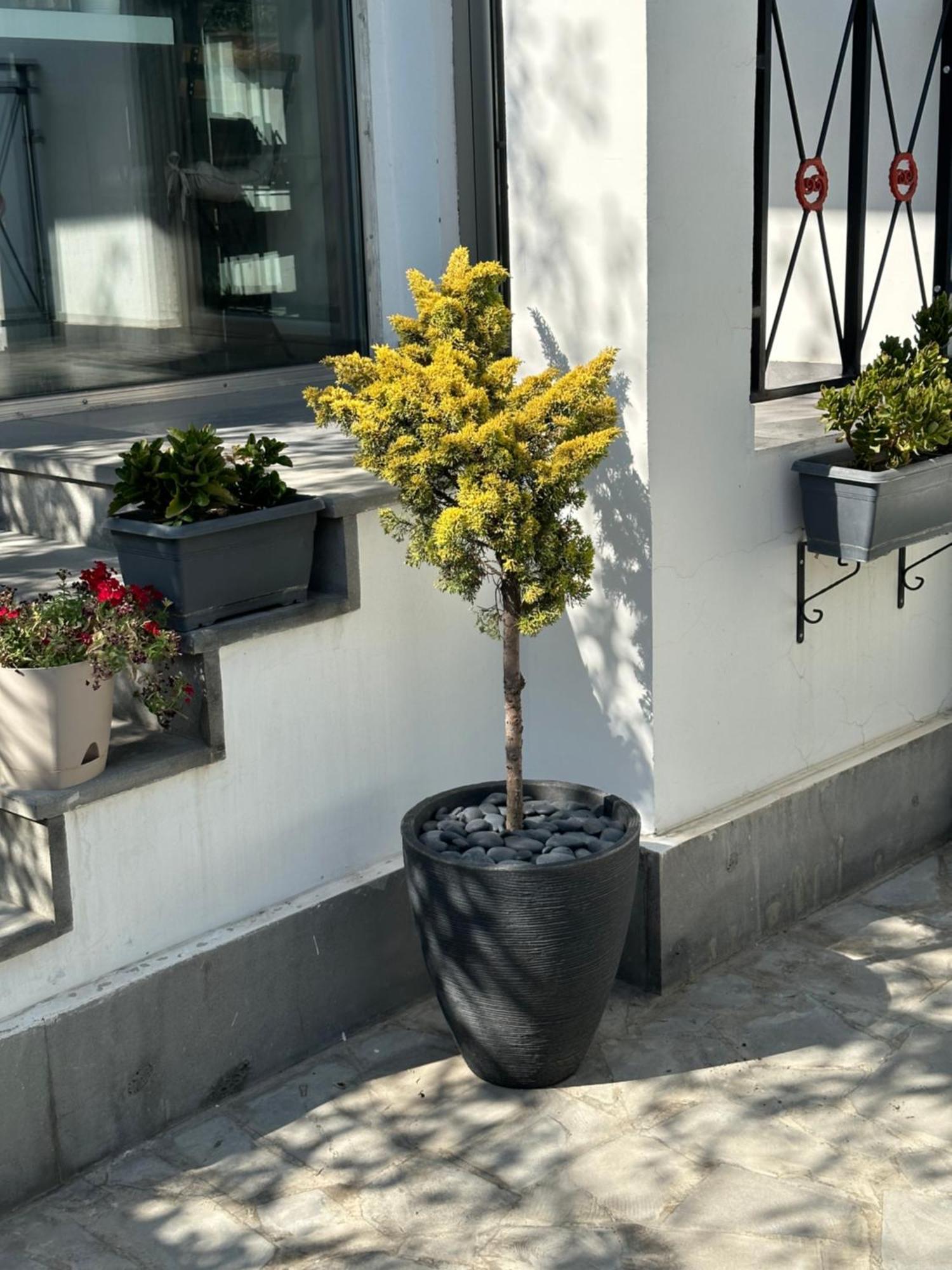 Garden Lounge Hotel Jerevan Eksteriør billede