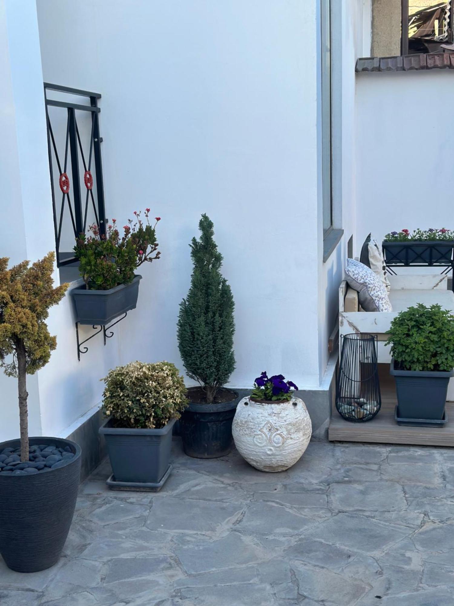 Garden Lounge Hotel Jerevan Eksteriør billede